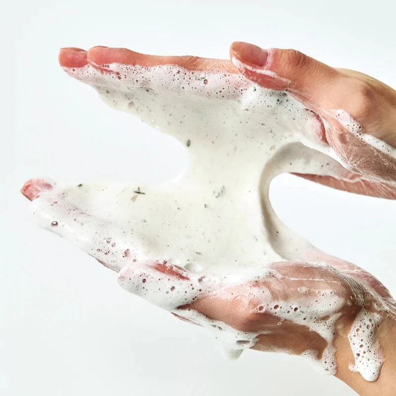 Heartleaf Quercetinol Pore Deep Cleansing Foam